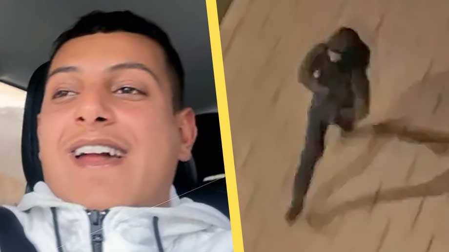 Hamza döms till livstid för gängmord på öppen gata