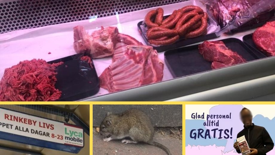 Miljöförvaltningen: Råttbajs, råttfällor och varmt kött i ”Rinkeby Livs”