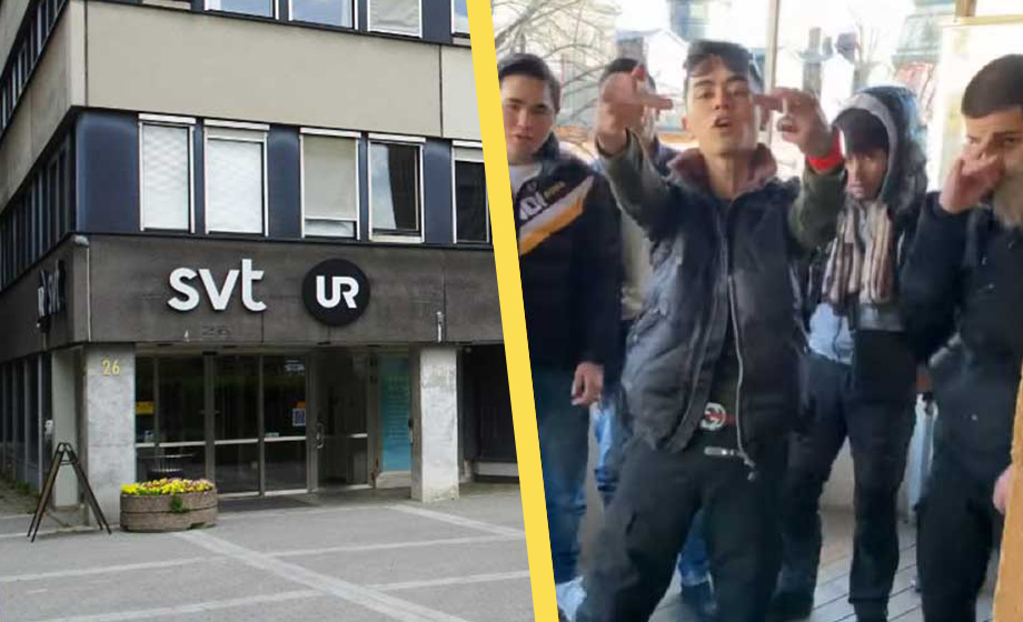 SVT:s barnprogram till attack mot SD och regeringen