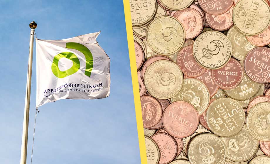 Fusk med subventionerade anställningar ska bekämpas med oanmälda besök