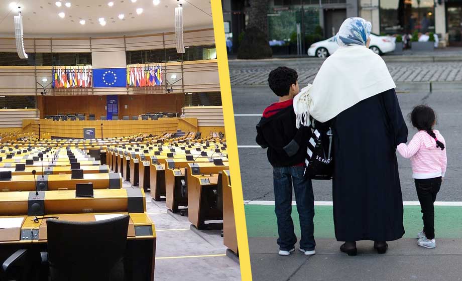 Dessa frågor anser svenska folket är viktigast i EU-valet