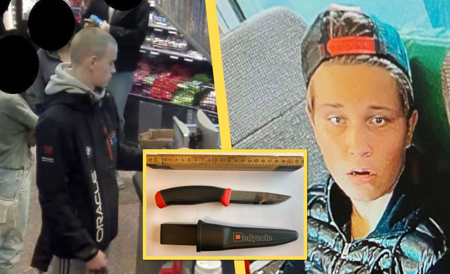 Mördade Henrik, 15, med 140 knivhugg – döms till ungdomsvård
