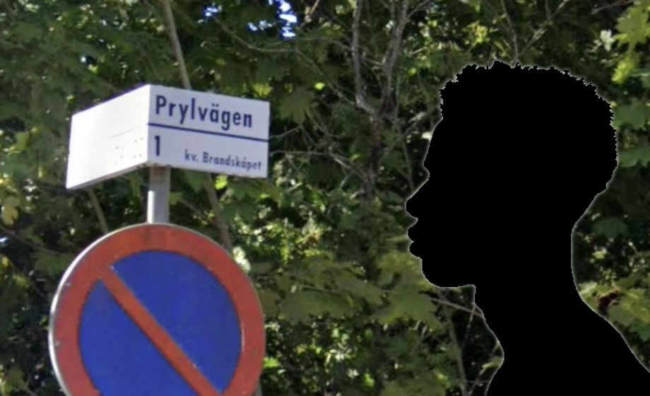 Åtal: 16-åring sköt ihjäl tre i deras hem