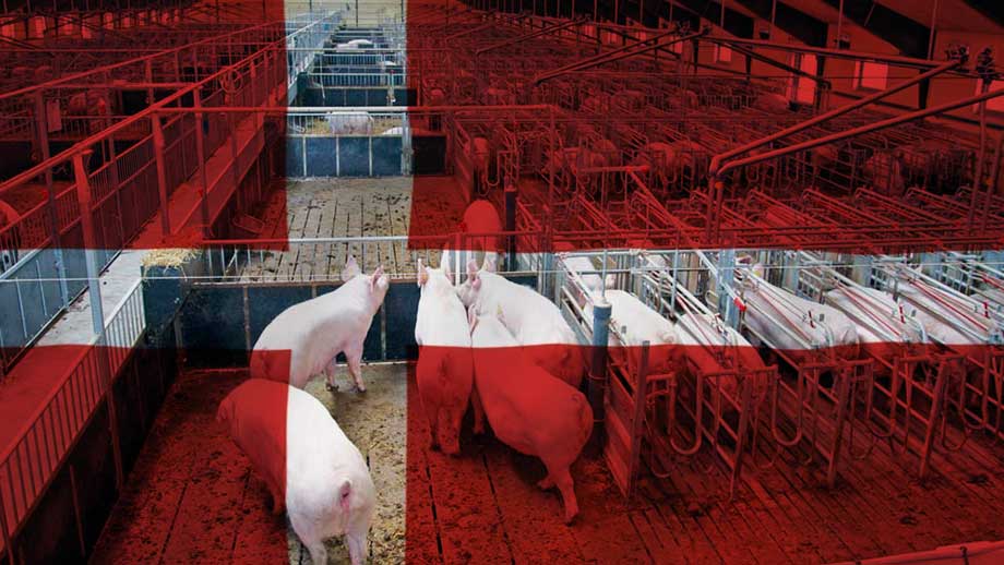 Danmark först ut att straffbeskatta lantbruket