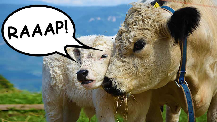 Bönder slipper betala utsläppsskatt på rapande boskap