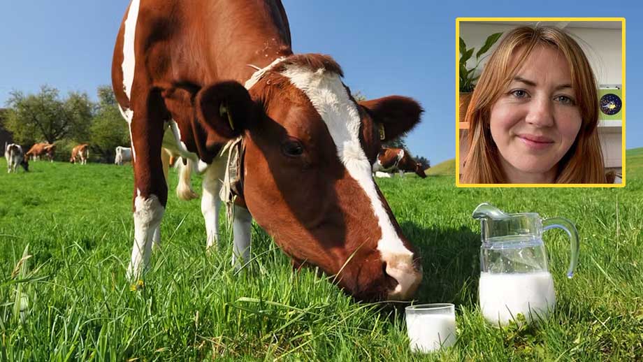 Experter oroade: Dricka mjölk kan vara rasistiskt