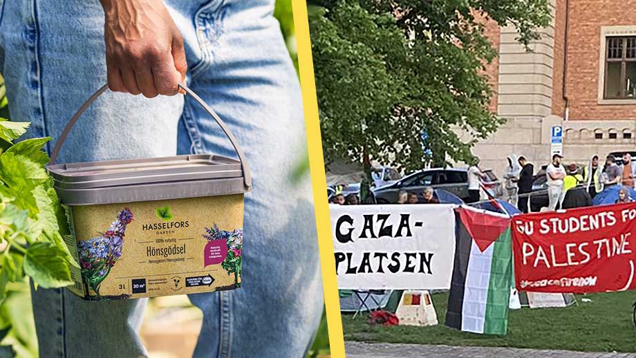 Spred gödsel över Gaza-sympatisörers ockuperade område