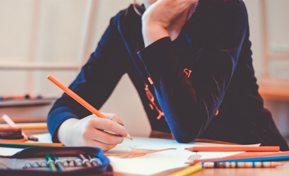 Skolinspektionens viten betalas inte av skolor