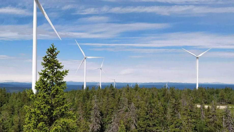 Forskare: Utan klimatbidrag hade vindkraftens förluster varit större
