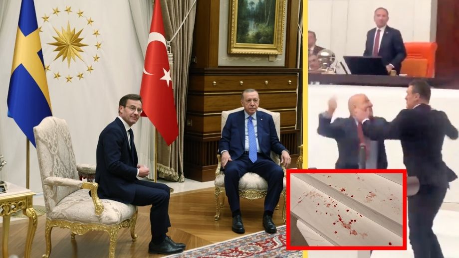 VIDEO: Här slåss Kristerssons allierade i parlamentet