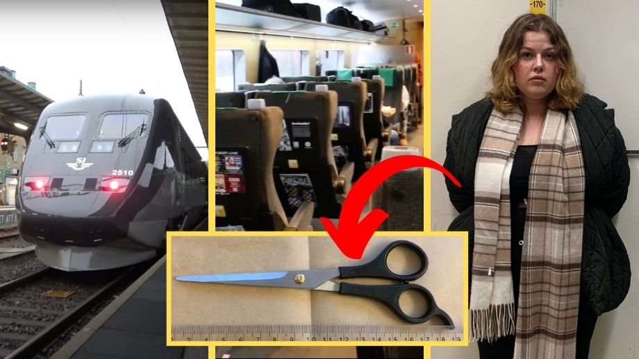 Sax-kvinna högg tågresenär som inte ville byta plats: ”Jag ville ha platsen”