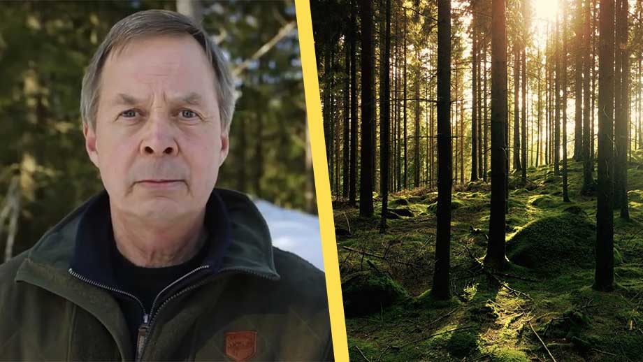 Skogsentreprenör varnar för grön kommunism: ”Vart är äganderätten av skog på väg?