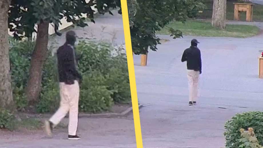 VIDEO: Polisen söker vittnen till gängmord