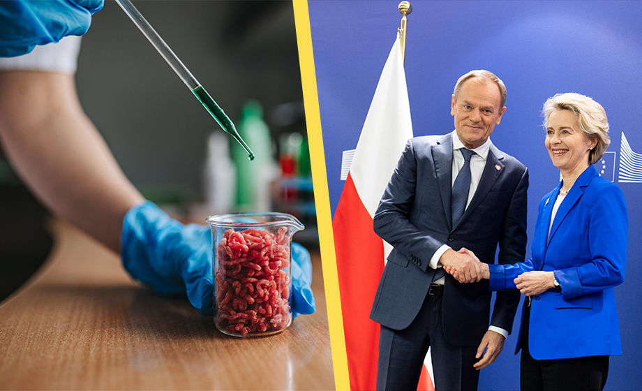 Polens regering satsar skattemiljoner på veganskt labbodlat kött