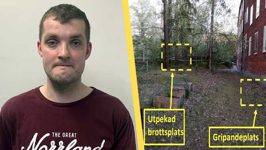 Mördaren släpptes ut i förtid – åtalas nu för nytt grovt våldsbrott