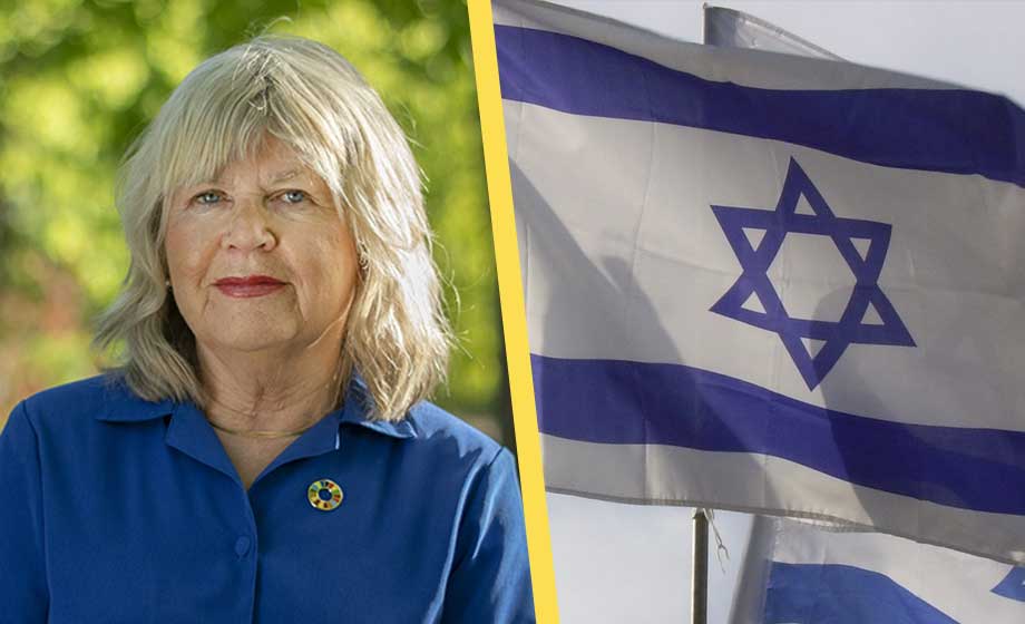 Miljöpartist avgår som nämndordförande i protest mot Israelbojkott