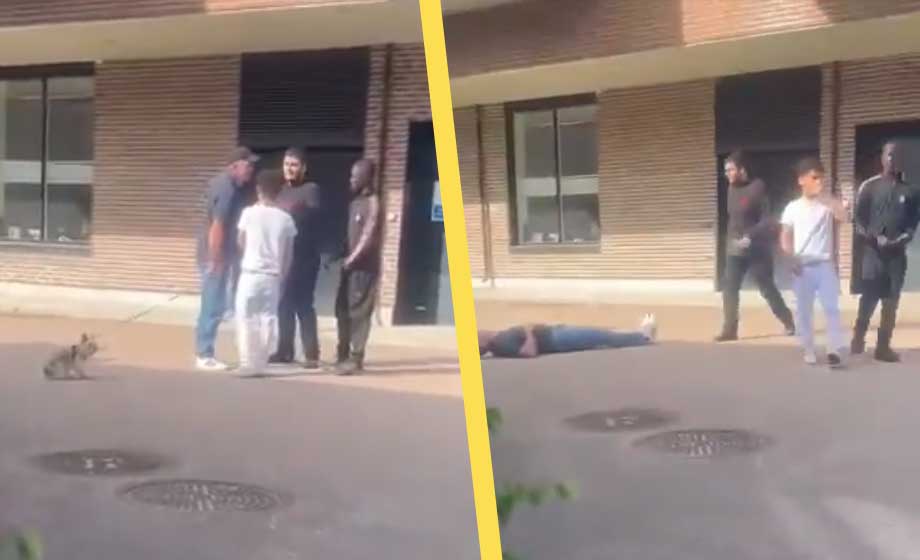 VIDEO: Här misshandlas hundägaren i bostadsområdet – påstås ha varit ’rasist’