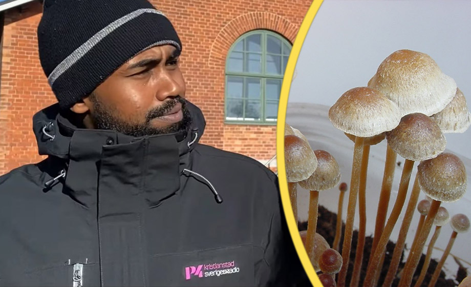 Knarkdömd somalisk SR-reporter utreds för drograttfylla