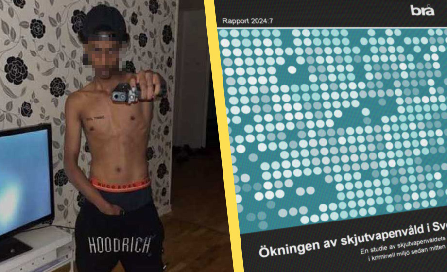 Brå: Därför undviker vi invandring i rapport om skjutningar