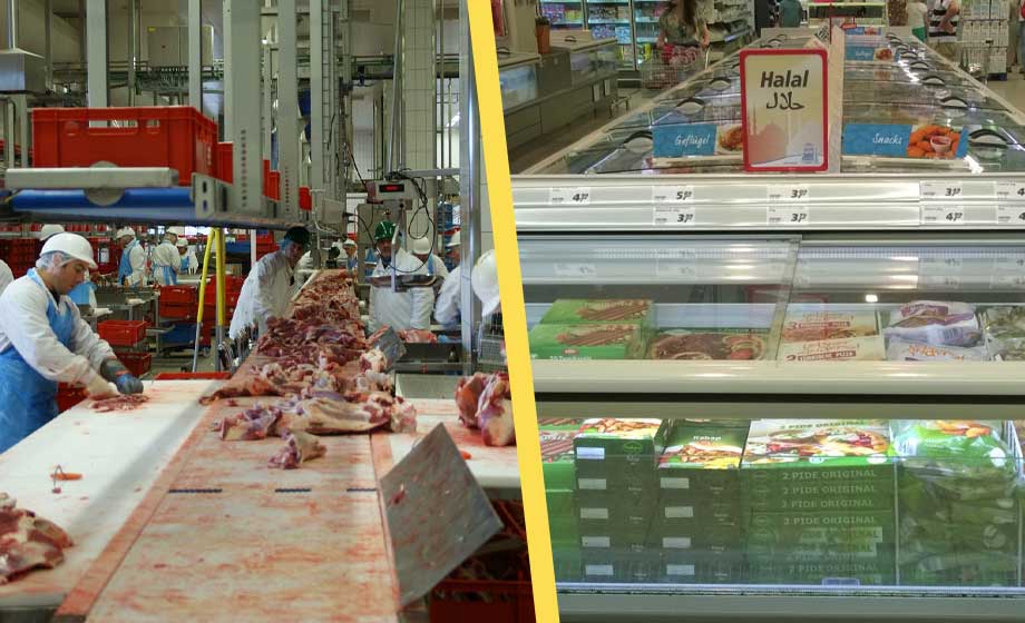 Stor kycklingleverantör halalcertifieras