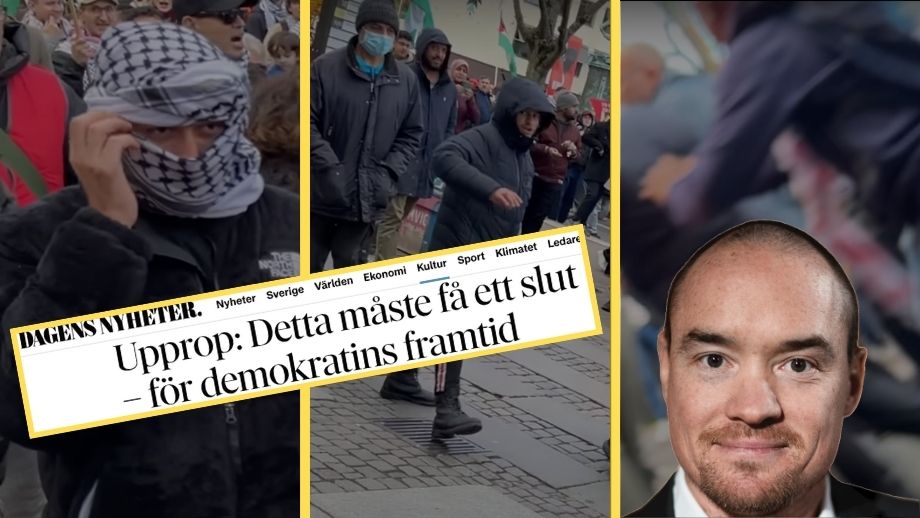 Ekeroth: Så var det helt plötsligt tyst från etablissemanget