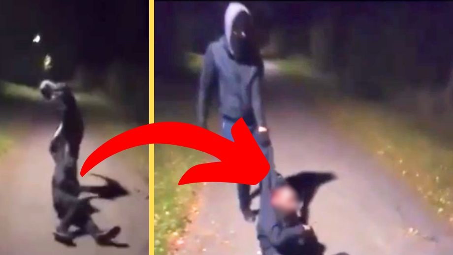 VIDEO: Gäng släpar man på gångväg – stampas och förnedras