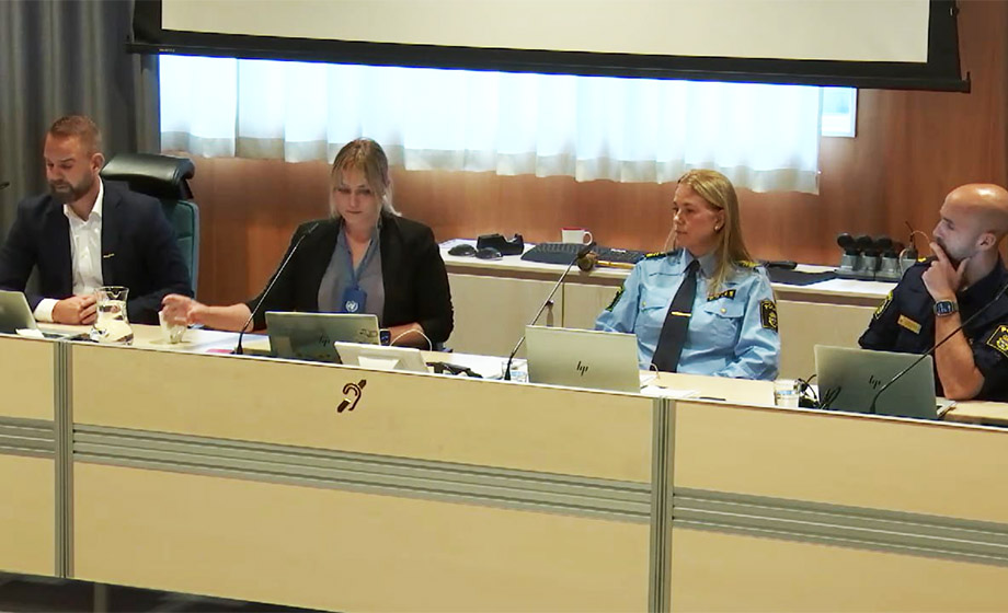 Nio flickor utsatta för dagispedofil i Ljusdal