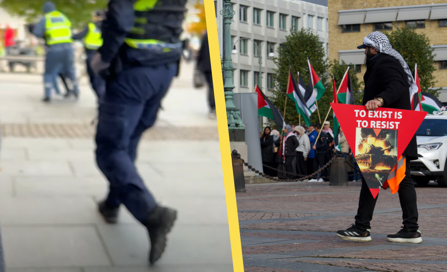 Riks-journalist karatesparkad i ansiktet av Palestina-aktivist