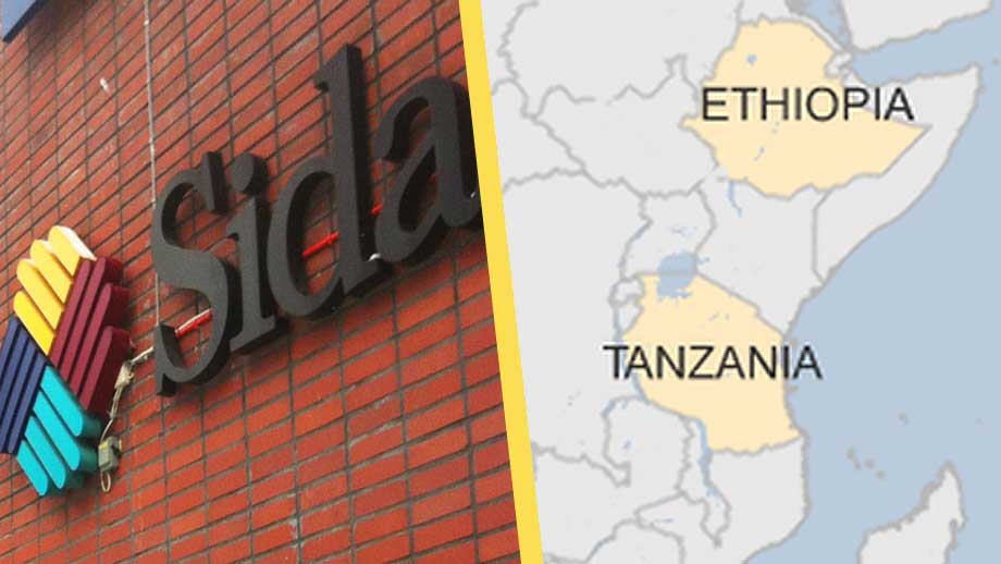 Sida myglade med siffrorna: 4 000 u-landsjobb redovisades som 40 000