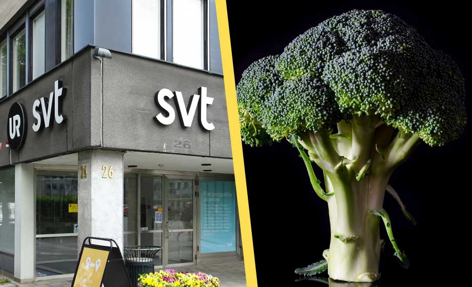 Nya regler på SVT: Bara vegetariskt på menyn