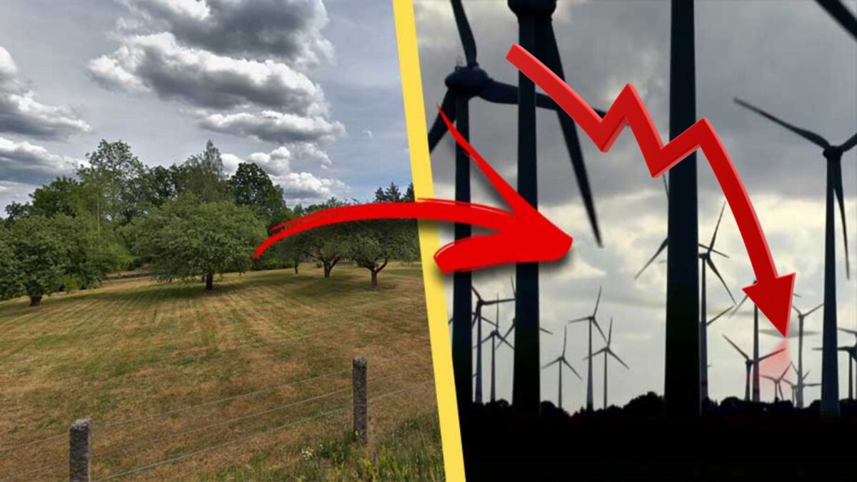 Grön överoptimism orsakar ny konkurs i vindkraftsbranschen