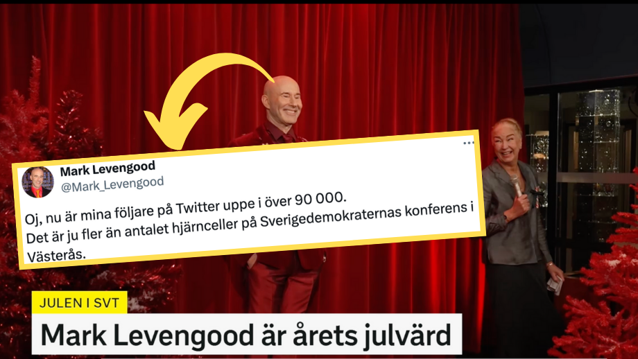 Här är SVT:s SD-hatande julvärd: Åkesson är otäck person och SD är vidrigt parti