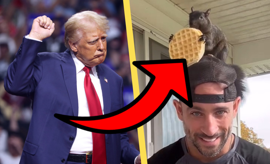 Ekorres död kan ge Trump segern