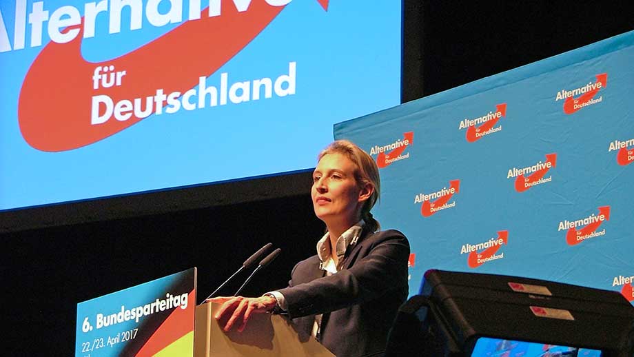 Tyskland kan lämna EU, euron och Paris-avtalet