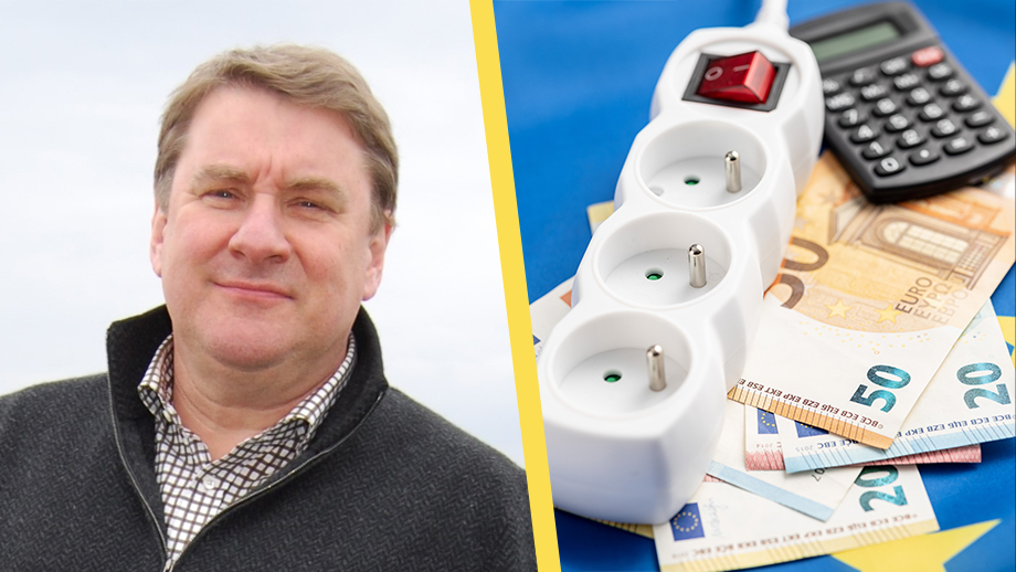 Expert: ”Regeringen borde skydda svenska elkonsumenter”