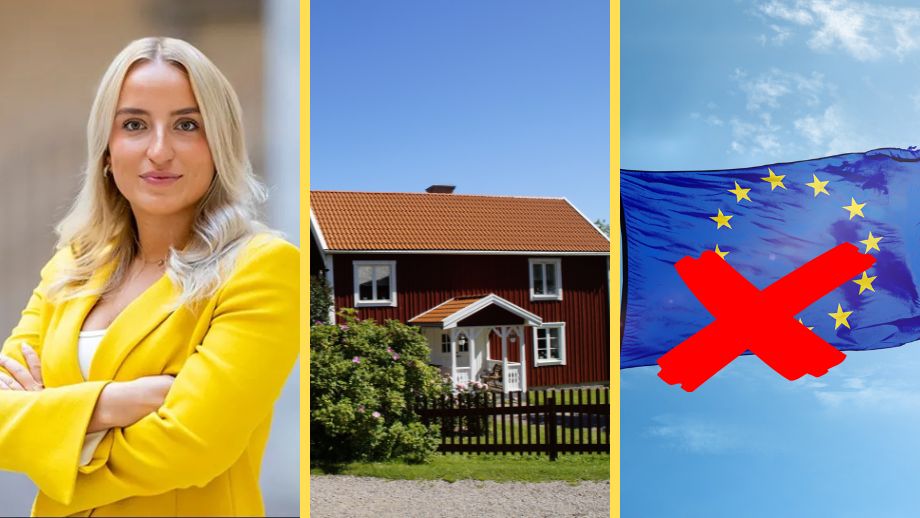 Ungsvenskarna om Sveriges framtid: Bullerbyn och inget EU