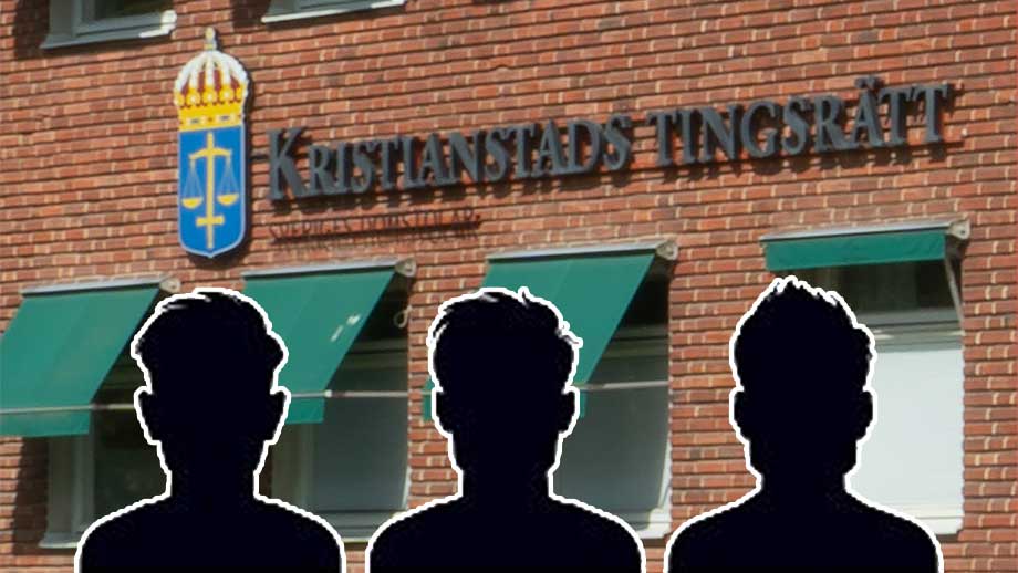 Tre afghaner häktade för gruppvåldtäkt i Skåne