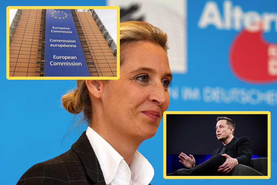 EU och media censurerar AfD inför tyska valet