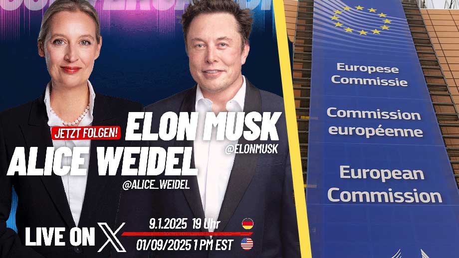 150 EU-tjänstemän övervakar när Musk intervjuar AfD:s partiledare