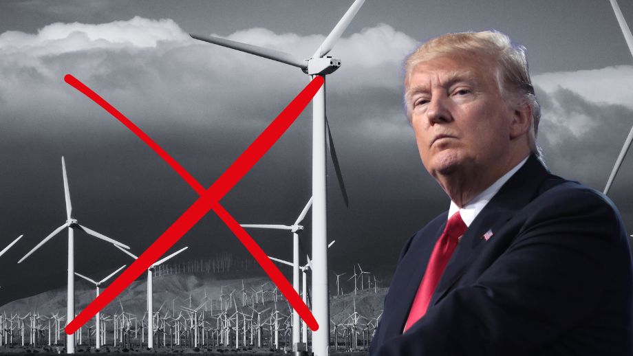 Trump ska stoppa vindkraften: ”De enda som vill ha dem är folk som blir rika”